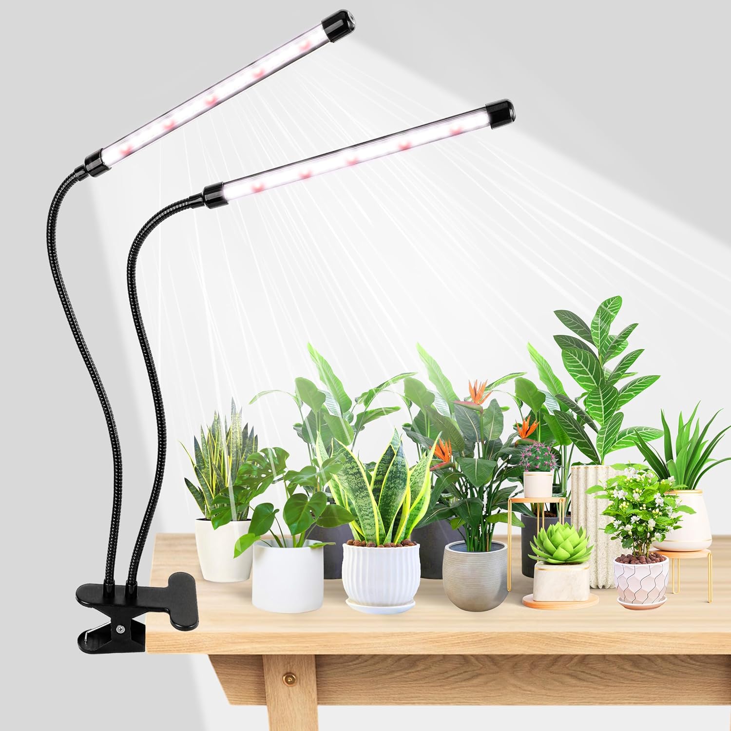 Food Storage Plants - KEBINCPLED Lampu LED Pencahayaan Tanaman dengan