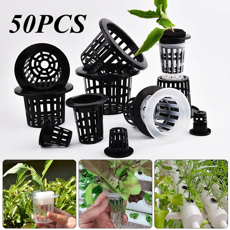 Food Storage Plants - 50 Buah Pot Tanaman Tanpa Tanah