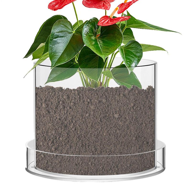 Food Storage Plants - Pot Tanaman Bening dengan Drainase Wadah