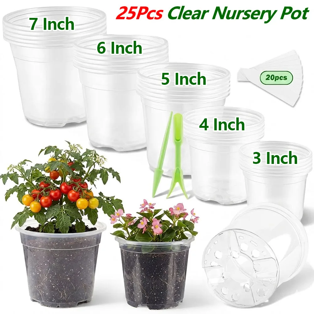 Food Storage Plants - 25Pcs Pot Pembibitan Plastik Transparan 3/4/5/6/7
