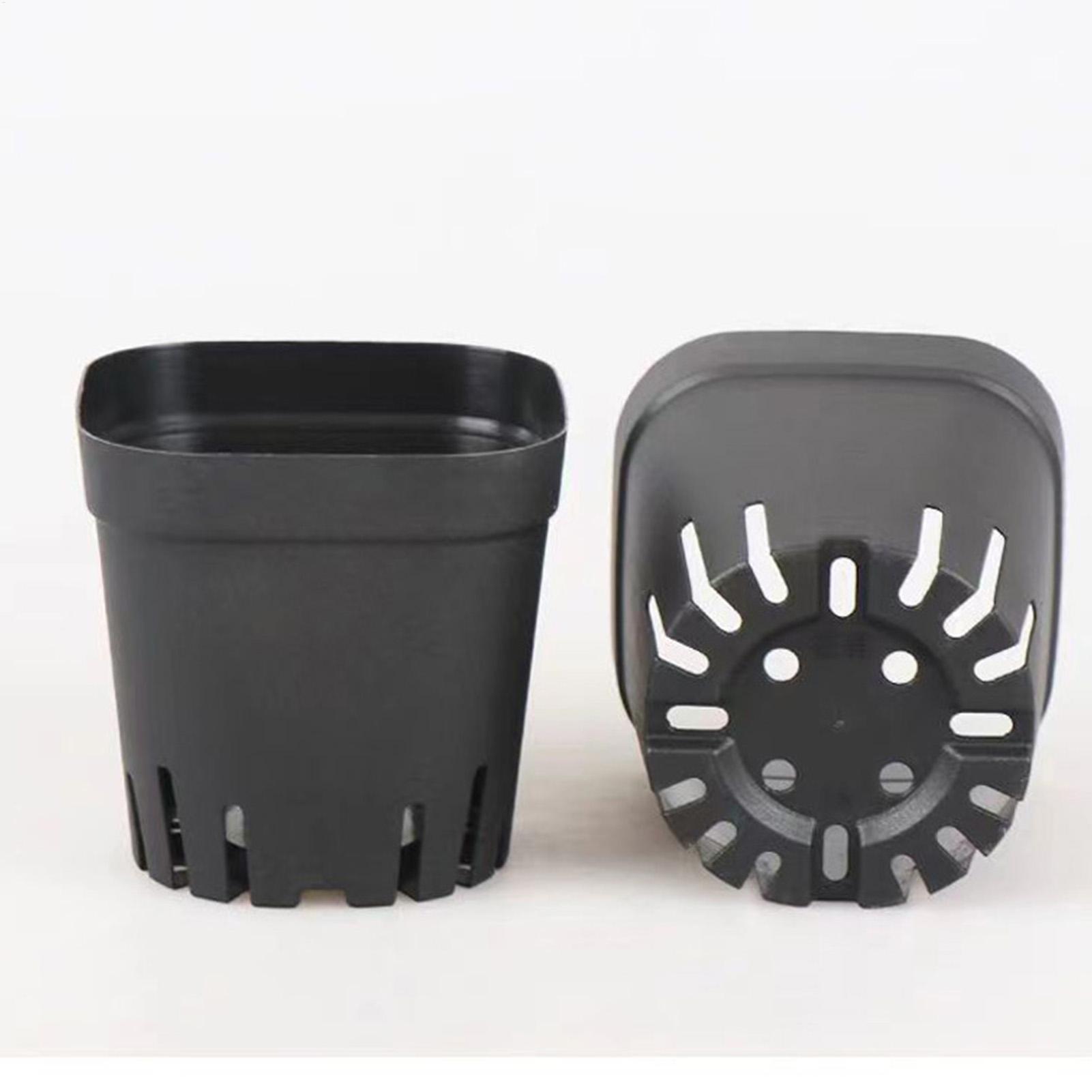Pot Bibit 5.5cm/7cm/10cm Untuk - Food Storage Plants ulasan dan harga