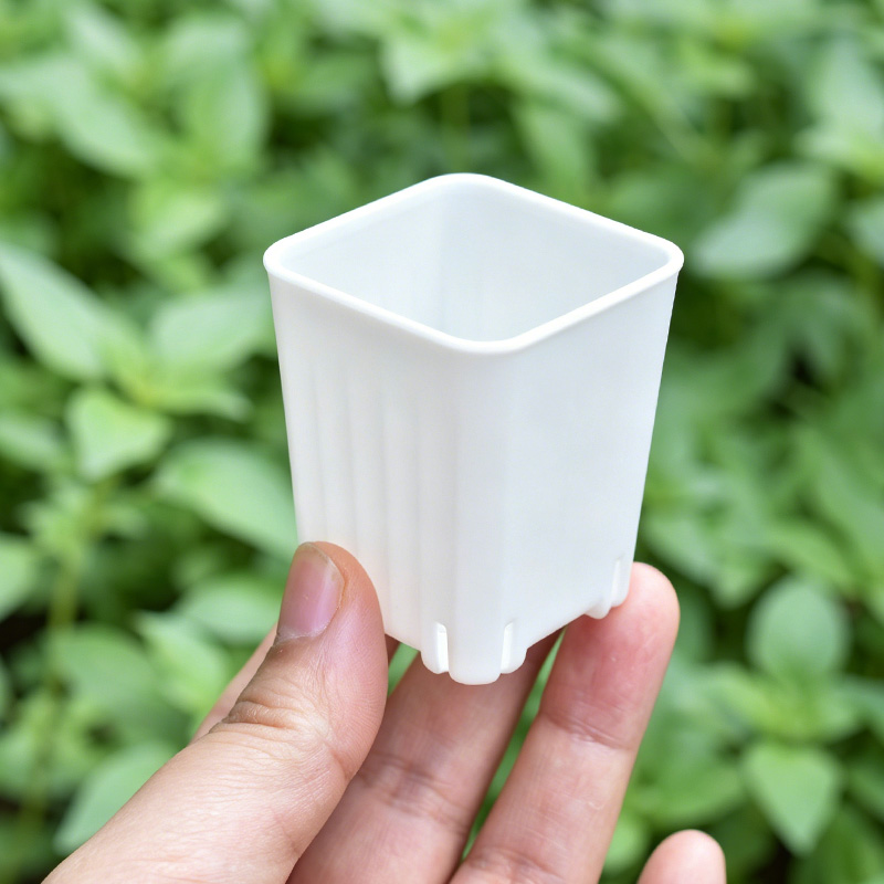 50-100 Buah Pot Bunga Persegi  - Food Storage Plants ulasan dan harga