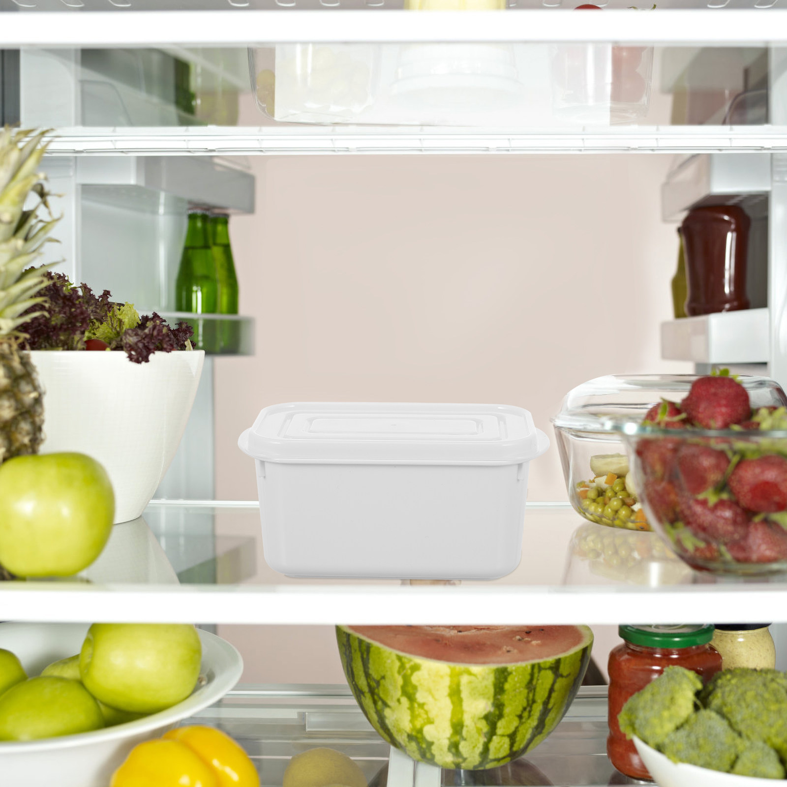 2 Buah Kotak Penyimpanan Makan - Food Storage In Restaurant ulasan dan harga
