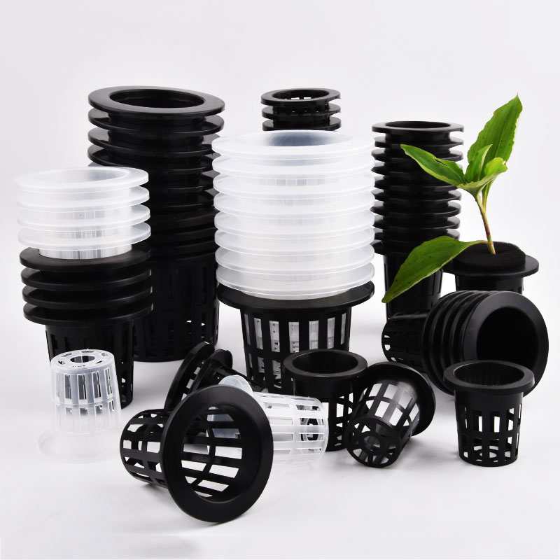 50 Buah Pot Tanaman Tanpa Tana - Food Storage Plants ulasan dan harga