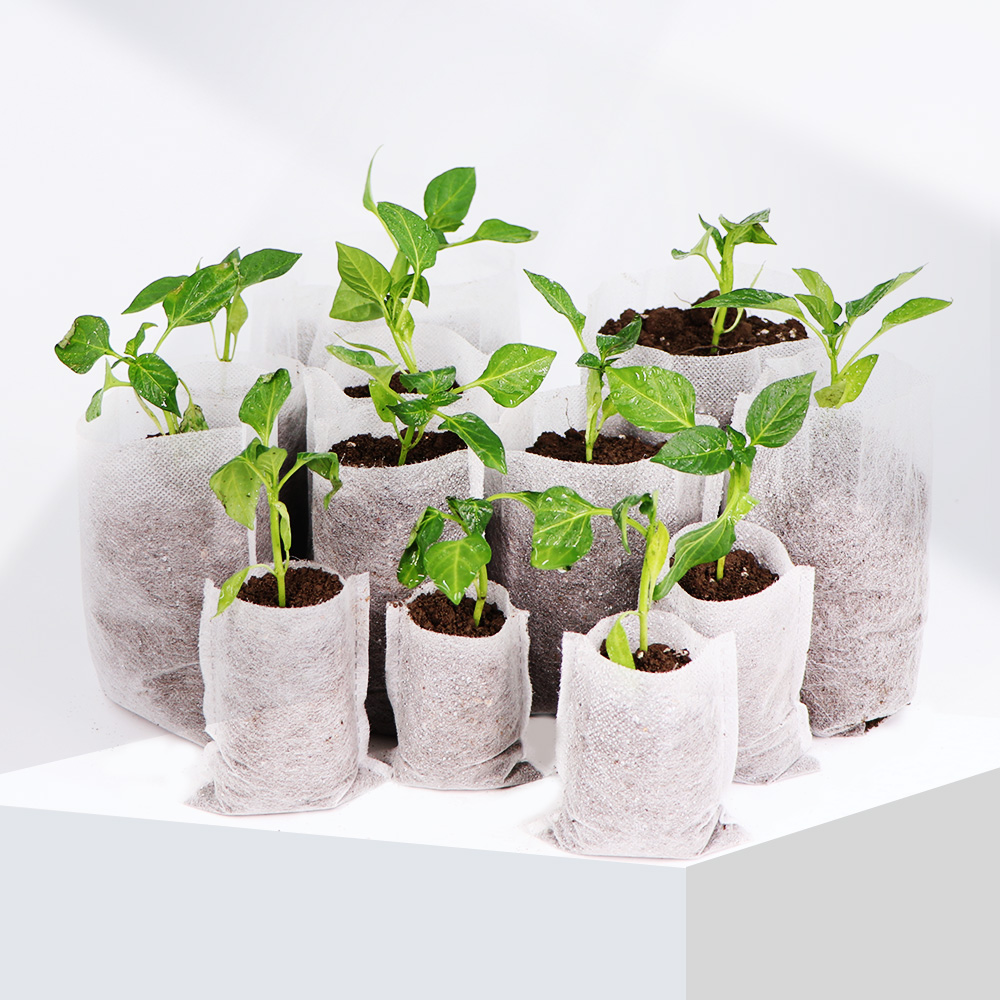 Tas Penumbuh Tanaman Pembibita - Food Storage Plants ulasan dan harga